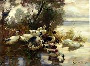 unknow artist Ducks 095 china oil painting reproduction